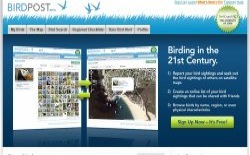 screenshot Birdpost