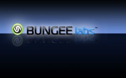 screenshot Bungee Labs