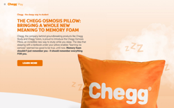 screenshot Chegg Osmosis Pillow