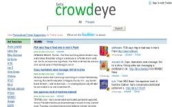 screenshot crowdEye