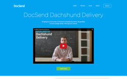 screenshot DocSend Dachshund Delivery