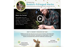 screenshot FreshDirect Rabbit-Foraged Herbs
