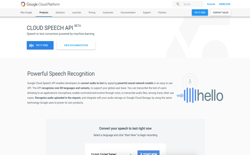 screenshot Google Cloud Speech API
