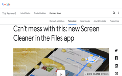 screenshot Google Files Screen Cleaner