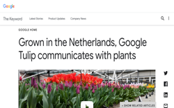 screenshot Google Tulip