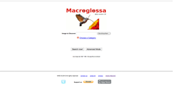 screenshot Macroglossa