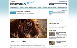 screenshot National Geographic Big Cats Education