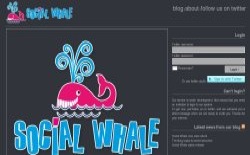 screenshot Social Whale