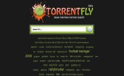 screenshot TorrentFly