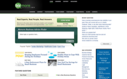 screenshot Bizmore