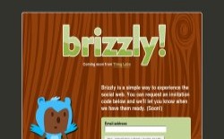 screenshot brizzly
