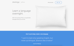 screenshot Duolingo Pillow
