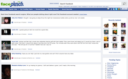 screenshot FacePinch