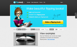 screenshot FlipSnack