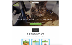 screenshot Groupon Groüber