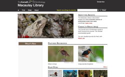 screenshot Macaulay Library