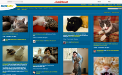 screenshot MetaFilterest