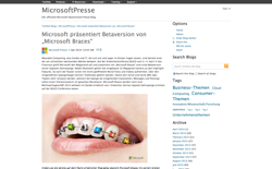 screenshot Microsoft Braces