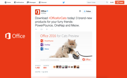 screenshot Microsoft Office 2016 for Cats