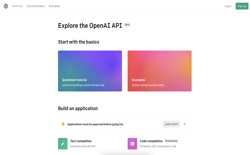 screenshot OpenAI API