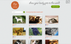 screenshot Pet in Canvas