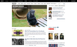screenshot Vice