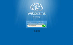 screenshot WikiBrains